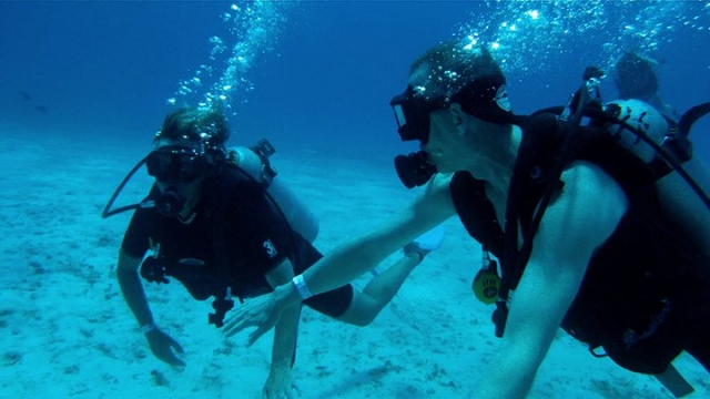 Buceo en Cozumel
